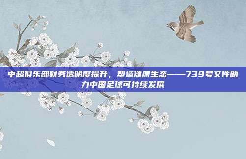 中超俱乐部财务透明度提升，塑造健康生态——739号文件助力中国足球可持续发展