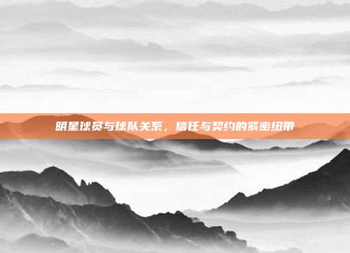 明星球员与球队关系，信任与契约的紧密纽带