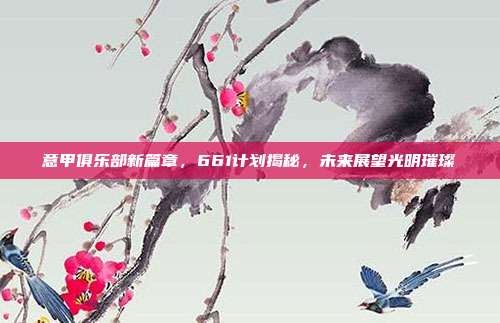 意甲俱乐部新篇章，661计划揭秘，未来展望光明璀璨